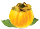 All natural garcinia cambogia cambosia