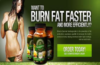 Fat buster